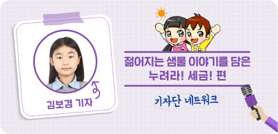 8️⃣⏩ ✍️ 젊어지는 샘물 이야기를 담은 누려라! 세금! 편_ 김보겸 기자
