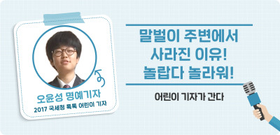✍️ 말벌이 주변에서 사라진 이유! 놀랍다 놀라워 _오윤성 기자