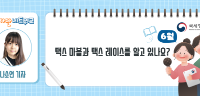 (6월)⏩ 택스 마블과 택스 레이스를 알고 있나요?_나소연 기자