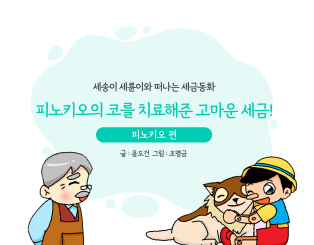 피노키오의 코를 치료해준 고마운 세금!