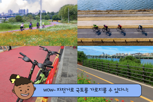 외국인들이 부러워하는 자전거 도로와 공공 자전거도 세금으로 만들고 운영해요!