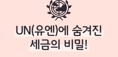 [기자단 심사과제] UN(유엔)에 숨겨진 세금의 비밀!_권예나 기자