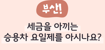 ✍️ (부산) 세금을 아끼는 승용차 요일제를 아시나요? _박채은 명예기자