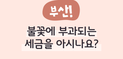 ✍ (부산) 불꽃에 부과되는 세금을 아시나요? _박채은 명예기자