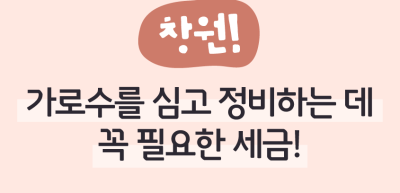 ⏩ (창원) 가로수를 심고 정비하는 데 꼭 필요한 세금! _김수연 명예기자