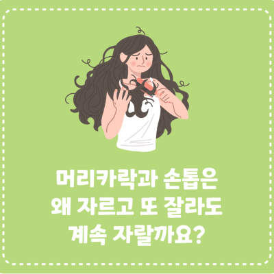 [지식대백과] 머리카락과 손톱은 왜 자르고 또 잘라도 계속 자랄까요?